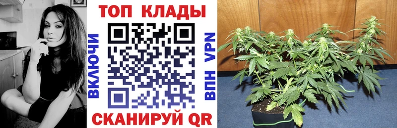 Купить наркоту Киров ГАШ  Cocaine  МЕФ  МАРИХУАНА 