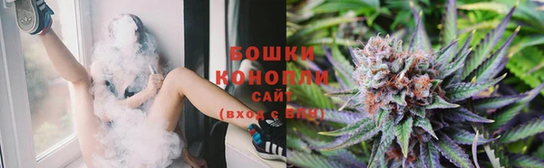 прущие крисы Верея