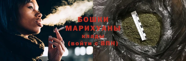 apvp Бородино