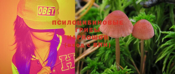 трава Верхний Тагил