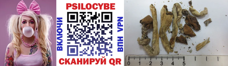 Псилоцибиновые грибы Psilocybe  Киров 